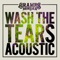 Wash the Tears (Acoustic) artwork