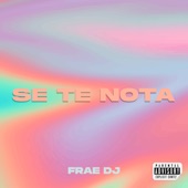Se Te Nota (Remix) artwork