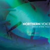 Northern Voice - Kaci Miretakok (Remix) [feat. A Tribe Called Red]