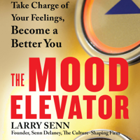 Larry Senn - The Mood Elevator: Take Charge of Your Feelings, Become a Better You artwork