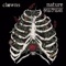 Nurture - Clowns lyrics