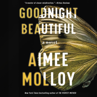 Aimee Molloy - Goodnight Beautiful artwork