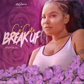 Ce'Cile - Breakup Harm Down