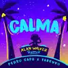 Calma (Alan Walker Remix) - Single album lyrics, reviews, download