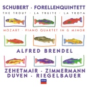 Piano Quintet in A, D.667 - "The Trout": 5. Finale (Allegro Giusto) artwork