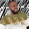 Wonderful - Single