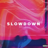Slow Down (feat. Lomax) artwork