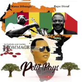 Les baobabs sont tombés (feat. Manu Dibango & Pape Diouf) [Hommage] - Petit Pays Rabbi