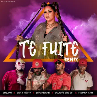 Te Fuite (Remix) by Damariscrs, Ceky Viciny, Haraca Kiko, Sujeto Oro 24 & LOOJAN song reviws