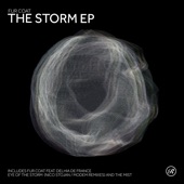 The Storm - EP artwork