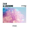 Storm - Single