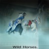 Wild Horses - Single