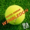 Wimbledon (Evolution Mix) artwork