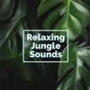 Relaxing Jungle Sounds