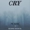 Cry (feat. King Kofa) - PK Iman lyrics