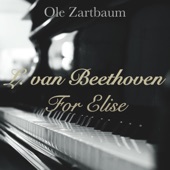 Beethoven: For Elise artwork