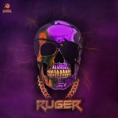 Ruger artwork