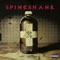 Consumed (Obsessive Compulsive) - Spineshank lyrics