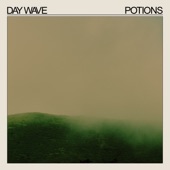 Day Wave - Potions