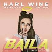 Baila (feat. Tribal Kush) artwork