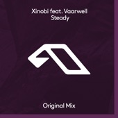 Steady (feat. Vaarwell) [Extended Mix] artwork