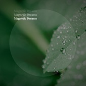Together in Magnetic Dreams artwork