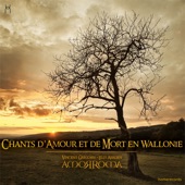 Chants d'amour et de mort en Wallonie artwork