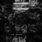 Katastrophe (Rinox Remix) - Ruke Lidchard lyrics