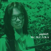 Pigibit5 - Mr. Munba