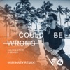 Lucas & Steve - I Could Be Wrong (Kim Kaey Remix)