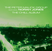 Strange Transmissions (feat. Norah Jones) [Chillout Remix] - Peter Malick