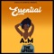 Essential (feat. The Uprise) - Amdi McErnest lyrics