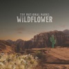 Wildflower, 2020