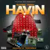 Havin' - Single album lyrics, reviews, download