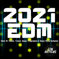 Various Artists - 2021 EDM (Best of Techno, Trance, House, Progressive & Dance Party Anthems) artwork