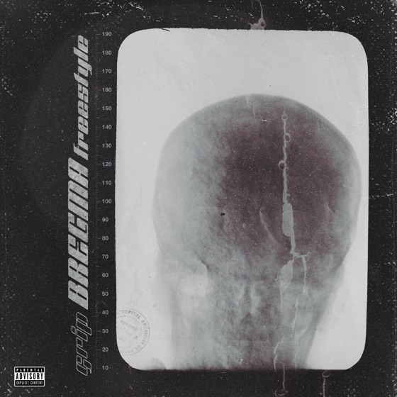 Cover artwork for BREGMA Freestyle