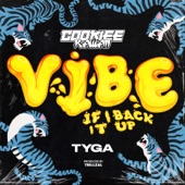 Vibe (If I Back It Up) artwork