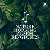 Nature Morning Alarm Ringtones: Birds, Rain & Ocean Waves artwork