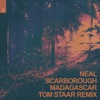 Madagascar (Tom Staar Remix) - Single