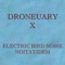 Droneuary X - Noitatidem - Electric Bird Noise lyrics
