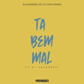 Ta Bem Mal (feat. DJ Paparazzi) artwork