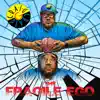 The Fragile Ego album lyrics, reviews, download