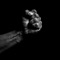 Black Fist - Fishaman Matt lyrics