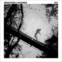 Sébastien Lacombe - Fly artwork