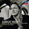 Albrecht Mayer, Academy of St. Martin in the Fields & Gotthard Odermatt - Concerto for Cor Anglais (From BWV 54): I. Larghetto