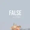 False (feat. Whyandotte & Seven the General) - Single album lyrics, reviews, download