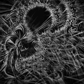 Endless Forms Most Gruesome artwork