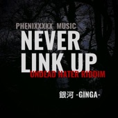 NEVER LINK UP -UNDEAD HATER RIDDIM- artwork