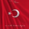 Ne Mutlu Türküm Diyene (feat. Metan) - Mertcan Okyay lyrics