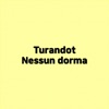 Turandot Nessun dorma - Single